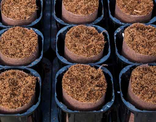 015GLOBAL Ø80 Pot Size