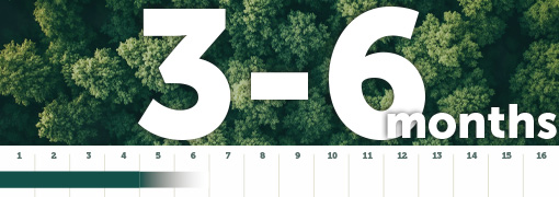 Ellepot Paper Decompose In 3  -6 Months