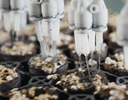 Ellepot Water Unit _ Ellepot equipment -  Designed and built for your perfect setup